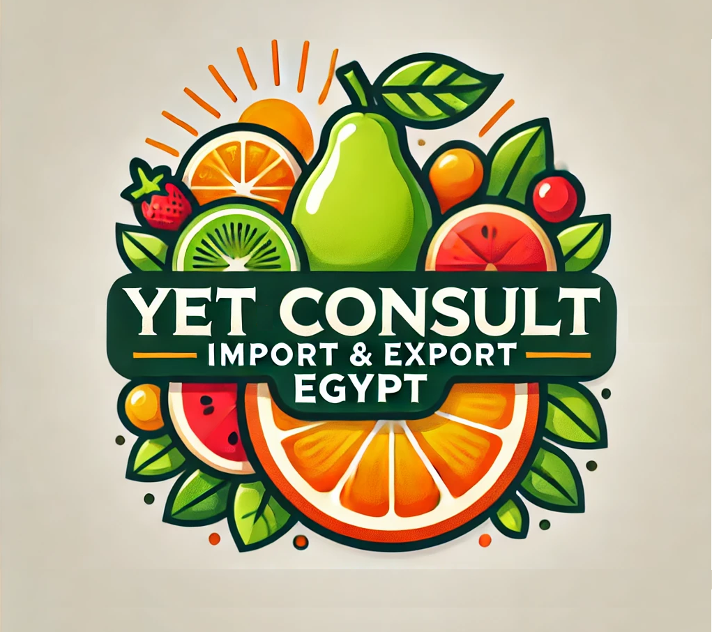 Yet Consult Logo
